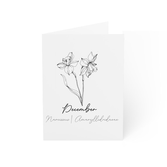 December Birth Flower - Narcissus - Greeting Cards (1, 10, 30, and 50pcs)