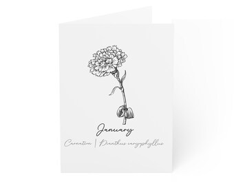 January Carnation Birth Flower Greeting Cards