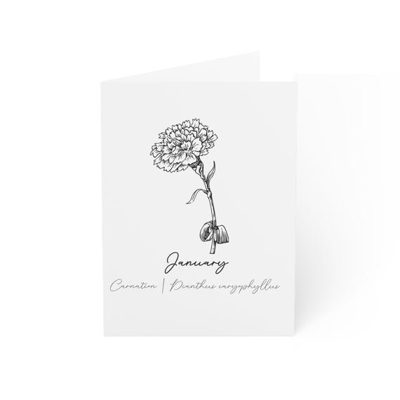January Carnation Birth Flower Greeting Cards