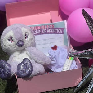 Build A Bear Party Box