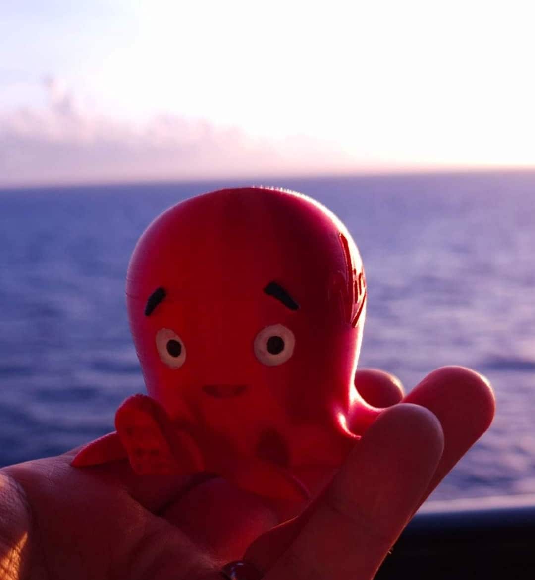 Virgin Voyages Octopus. Pack of 9 Octopus. Silk Red. - Etsy