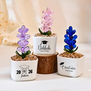 May include: Three small, white ceramic pots each hold a decorative glass flower. The flowers are purple, pink, and blue. Each pot has a graduation cap graphic and a name with the text "CLASS OF 2026".