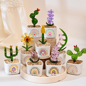 Puede incluir: Una colección de pequeñas plantas decorativas de vidrio en macetas cuadradas blancas. Cada maceta presenta un diseño de arcoíris y el texto "Lucky to have a teacher like..." con el nombre de un profesor. Las plantas de vidrio incluyen cactus, flores y otros diseños florales.