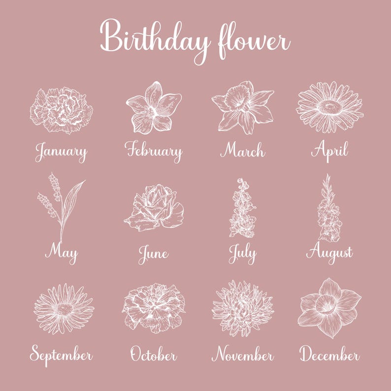 May include: A blush-colored graphic featuring white line drawings of flowers, each representing a birth month. The text "Birthday flower" is at the top. Months are listed below each flower, from January to December.