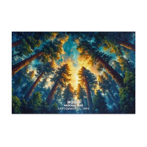 Scenic Sequoia National Park Jigsaw Puzzle - 1000 Pieces, Beautiful Nature Landscape Puzzle for Adults - Relaxing Activity for Nature Lovers