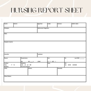 Nursing Report Sheet