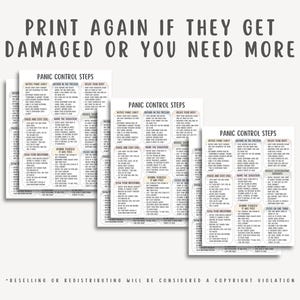Panic Control Steps Cheat Sheet, Panic Attack Relief Guide, Anxiety Coping Skills Workbook, Calm Breathing Techniques, Stress Reset Tool