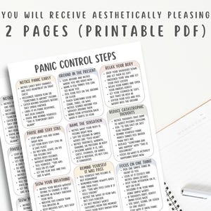 Panic Control Steps Cheat Sheet, Panic Attack Relief Guide, Anxiety Coping Skills Workbook, Calm Breathing Techniques, Stress Reset Tool