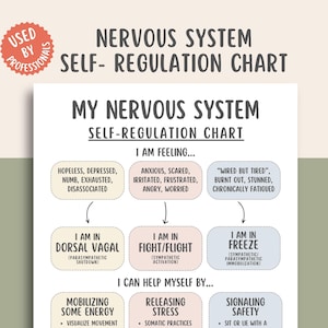 Op de afbeelding: Een witte grafiek met de titel "Nervous System Self-Regulation Chart" met de tekst "My Nervous System Self-Regulation Chart". De grafiek geeft gevoelens, toestanden en manieren om jezelf te helpen weer. Een rode cirkel met de tekst "Used by Professionals" staat in de linkerbovenhoek.