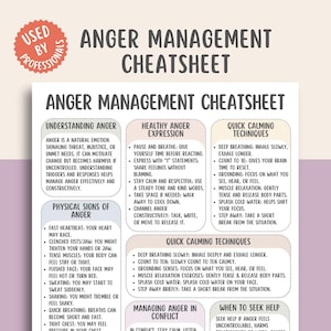 May include: An Anger Management Cheatsheet with text including "Understanding Anger," "Healthy Anger Expression," and "Quick Calming Techniques." The sheet is white with a pink and orange circular graphic that says "Used by Professionals."