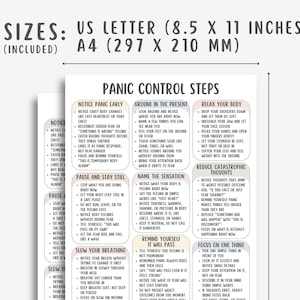 Panic Control Steps Cheat Sheet, Panic Attack Relief Guide, Anxiety Coping Skills Workbook, Calm Breathing Techniques, Stress Reset Tool