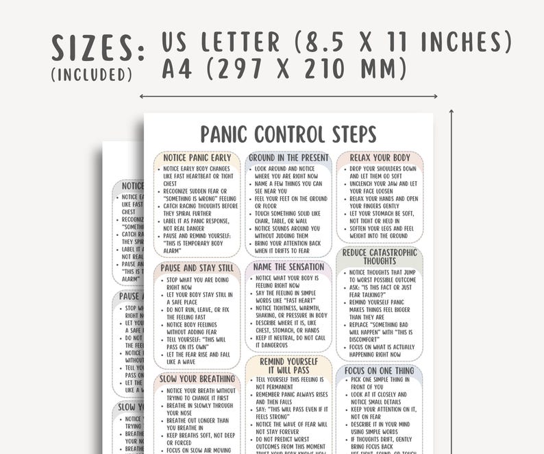 Panic Control Steps Cheat Sheet, Panic Attack Relief Guide, Anxiety Coping Skills Workbook, Calm Breathing Techniques, Stress Reset Tool