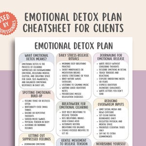 May include: A white and beige printable "Emotional Detox Plan Cheatsheet for Clients" with a red circular seal that says "Used by Professionals". The plan includes sections on daily rituals, journaling, and reducing overwhelm.