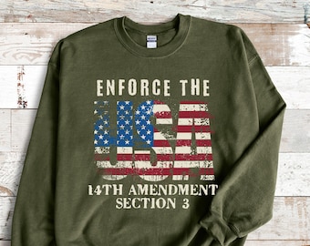 14th Amendment Section 3 T-Shirt: Political Statement Unisex Tee