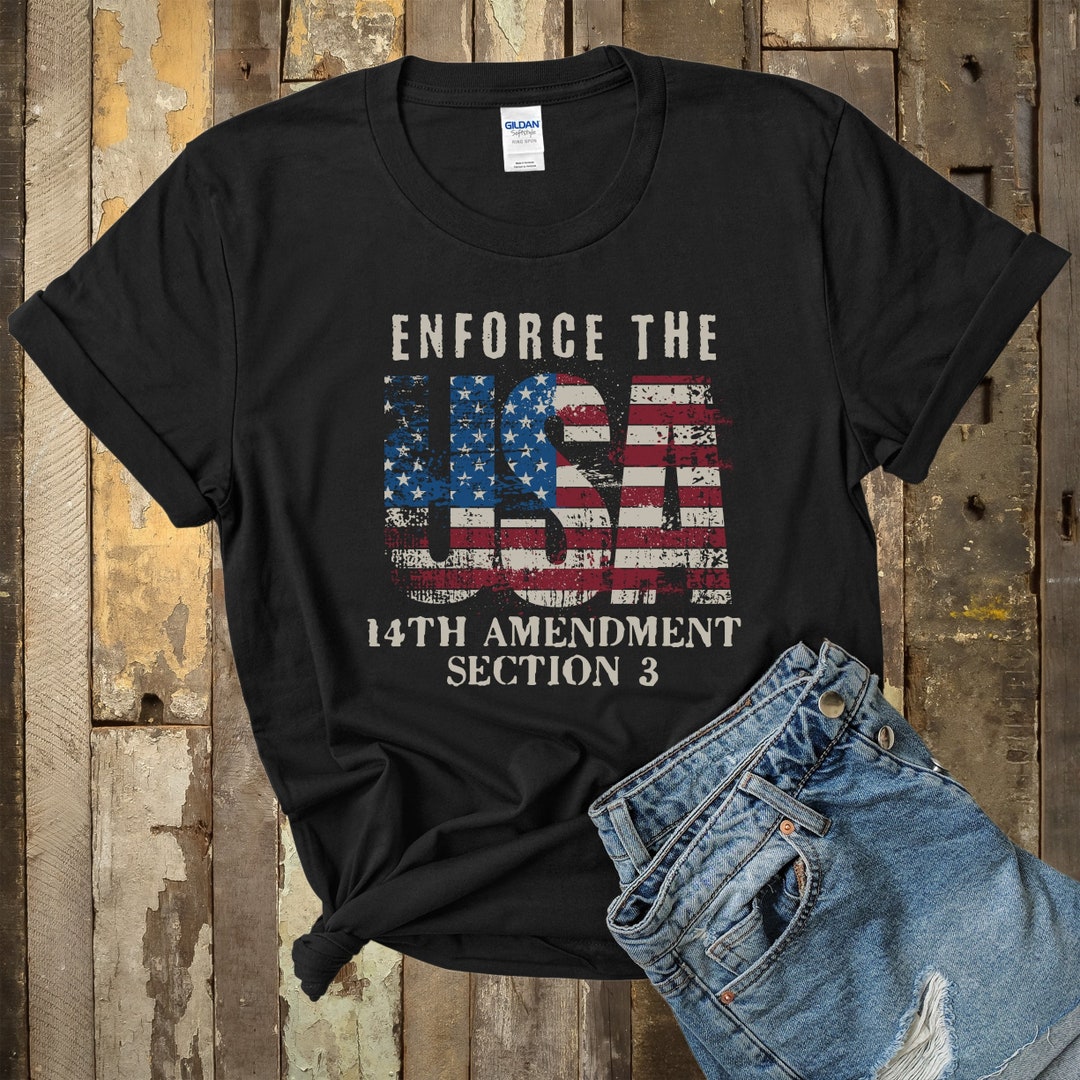 Enforce the 14th Amendment Section 3 Shirt , Human Rights Hoodie , 2024 ...