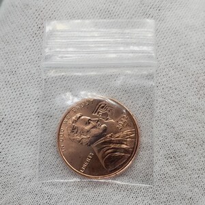 May include: A copper-colored United States penny coin from 2022, featuring Abraham Lincoln's profile, is sealed inside a clear plastic bag. The coin's details, including the words "Liberty" and "In God We Trust," are visible.