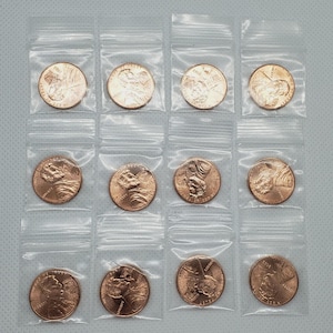 May include: Twelve copper-colored pennies, each sealed in a clear plastic bag. The pennies feature a profile of a person on one side and the word "Liberty". The bags are arranged in a grid pattern against a light background.