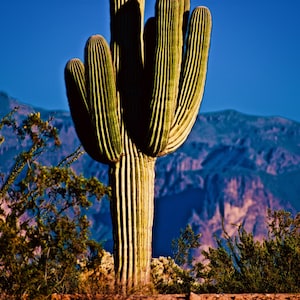 Fine Art Photography