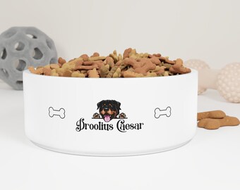 Personalized Dog Bowl, Food or Water, Custom Dog Name, Dog Gift, Dishwasher and Microwave Safe