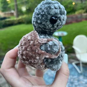 Turtle with a butt