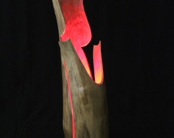 Stimmungslicht, Holzlicht, Holzhaut, Skulptur, Stehlampe, LED-Lampe, Designlampe, Stimmungslampe, Treibholz