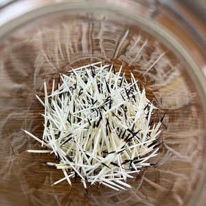 Porcupine Quills, approx 50 Porcupine Quills, approx 50