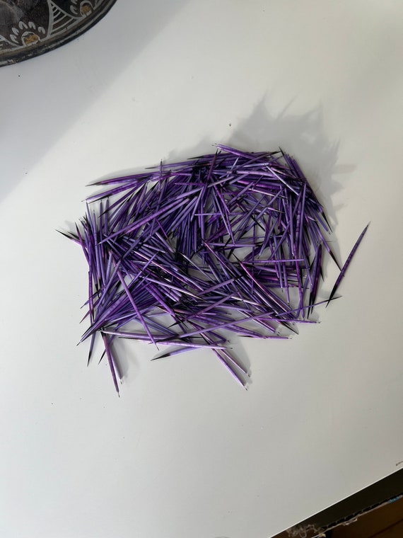 Porcupine Quills, approx 50 Porcupine Quills, approx 50