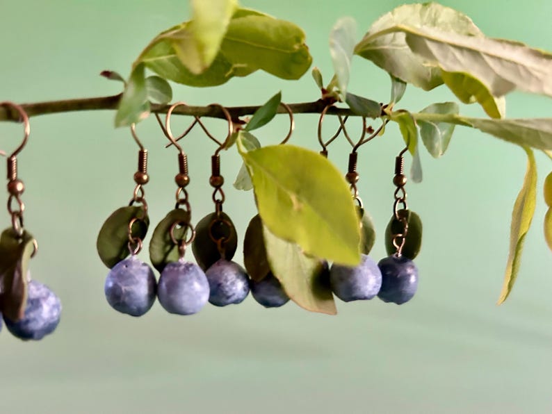 K&ouml;nnte beinhalten: Ein Paar Ohrringe mit einem Blaubeer-Design. Die Ohrringe sind aus Metall und haben ein blaues und gr&uuml;nes Farbschema.