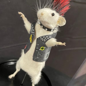Punk Mouse