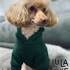 Personalised Dog Hoodie- Green