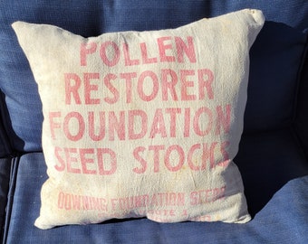 Vintage Grain Sack/Feed Sack Pillow/Vintage/Throw Pillow/Farm/Pollen/Flower/Seed/New Madison/Ohio/Downing Foundation/Rustic/Farmhouse
