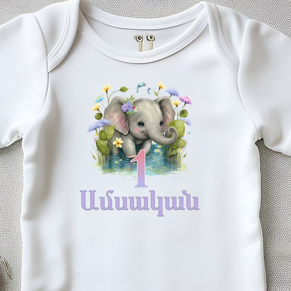 Armenian Milestone 100% Rib Cotton Onesie , Armenian Monthly Onesies for Boys and Girls, Cute One Piece Baby Bodysuit