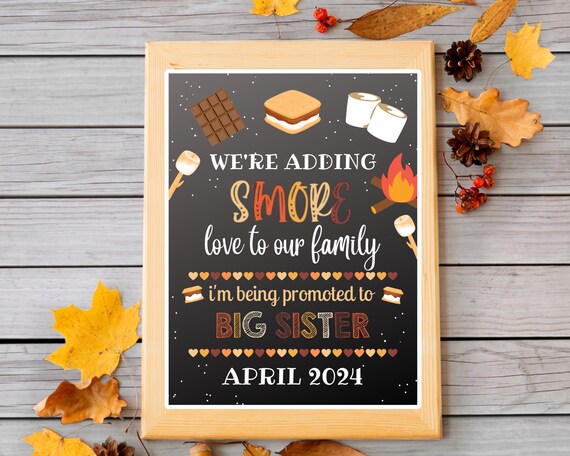 S'MORE Baby Announcement, Adding S'More Love, Big Brother, Big.