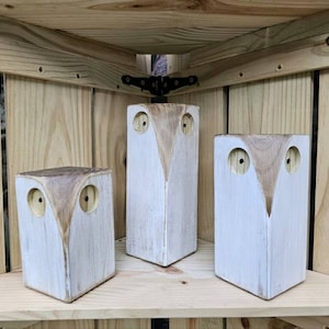 Set of 3 Handcrafted Wooden Owls: 10, 8, and 6 Different Colors ...