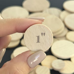1 inch wooden circles 100 reward token blank bucket list token