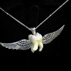 Real human tooth fairy necklace , tooth necklace ,  human tooth necklace, human tooth jewelry, tooth fairy jewelry, costume jewelry