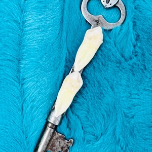 Real human tooth skeleton key charm , skeleton key necklace charm, human tooth charm, human tooth jewelry, costume jewelry