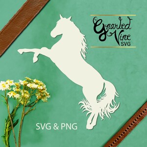 May include: White silhouette of a horse rearing up on its hind legs against a teal green background. The text "Engraved Vine SVG" is in the top right corner of the image. The text "SVG & PNG" is in the bottom center of the image.