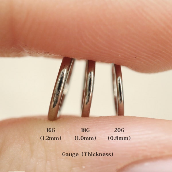 Titanium Implant Grade Hinged Segment Nose Ring, Septum Clicker Ring, Daith Hoop Earrings, Nose Hoop, Septum Ring, 16G 18G 20G, 6-10mm