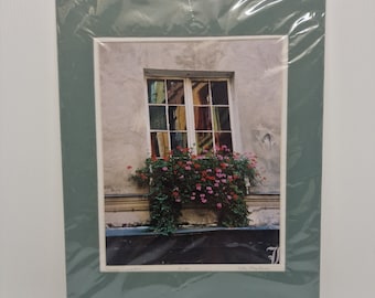 Esther Montanaro Art Photo Limited Edition 12/150 Old House Window Flowers 2004