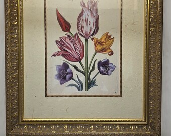 Vintage Tulips Print with Ornate Gold Frame 26 x 22
