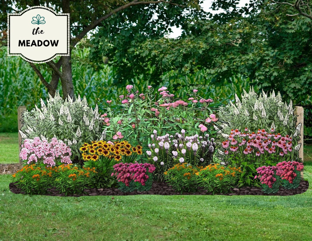 When to Use Annual vs. Perennial Plants in Your Garden, image size:1080x835