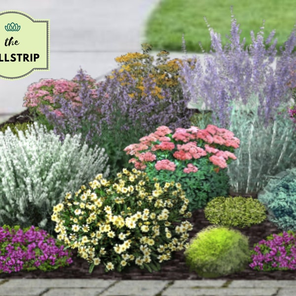 The Hellstrip | Drought Tolerant, Pollinator-Friendly, Deer Resistant Garden Landscape Design | Zones 5 Zone 6 Zone 7 Zone 8