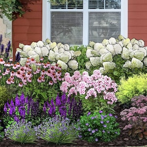 The Briarwood - English Cottage Garden | Custom Landscape Design | Front Yard Design Plan Zones 5-8