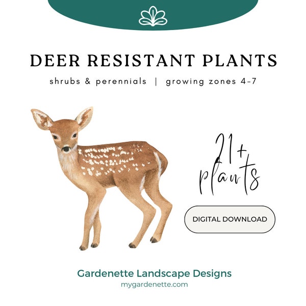 Deer Resistant Shrubs & Perennials | Zones 4-7 | Digital Download