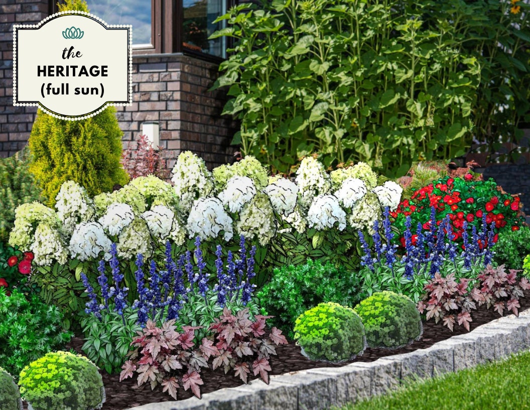 The Heritage Cottage Garden Design - Red, White \u0026 Blue Flower Plan | Full  Sun Perennials Zones 5-8 - Etsy, image size:1056x816
