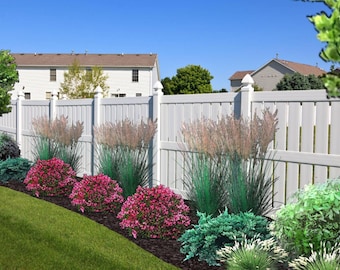 The Hamlin | DIY Border Garden Design | Fences & Edges | Zones 4-7 | Landscape Plan