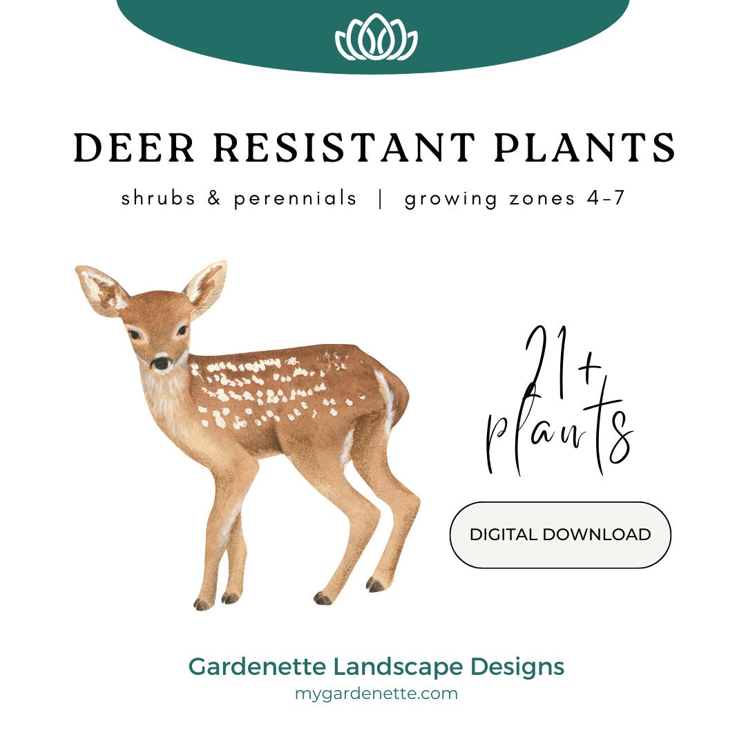 Deer Resistant Shrubs & Perennials Zones 47 Digital Etsy
