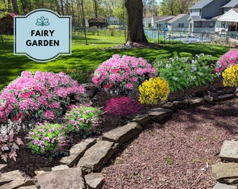 The Fairy Garden - Shade Garden Design | Whimsical Landscape Plan Zones 4-8