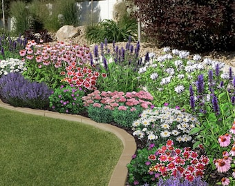 The Sycamore | DIY Pollinator Garden Design | Print & Plant Landscape Plan | Zones 4-9